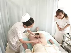猫はすべて滑らかです エロ 女子 向け